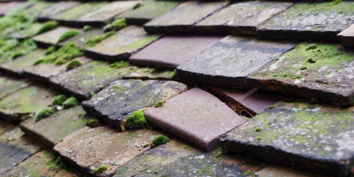Standish roof repair costs